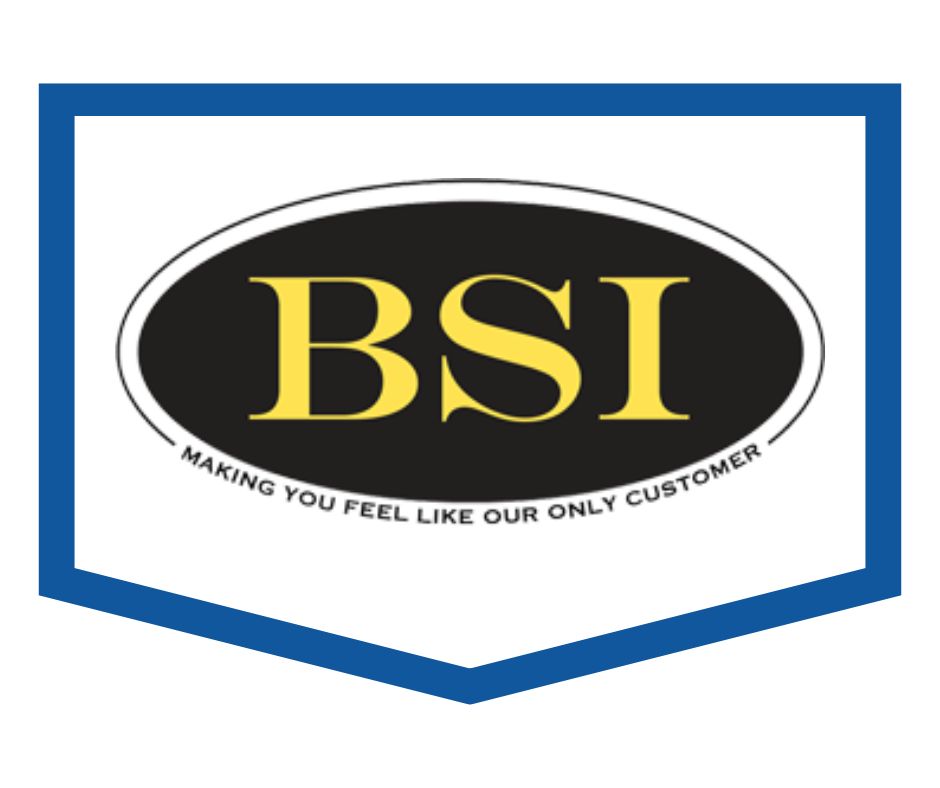 BSI Logo BSI Logo